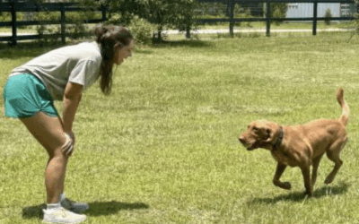 Volunteer Spotlight: Mia Balman